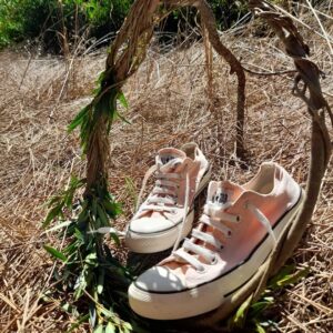 Converse All Star Sneakers