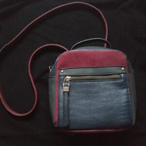 2 in 1 Purse Backpack