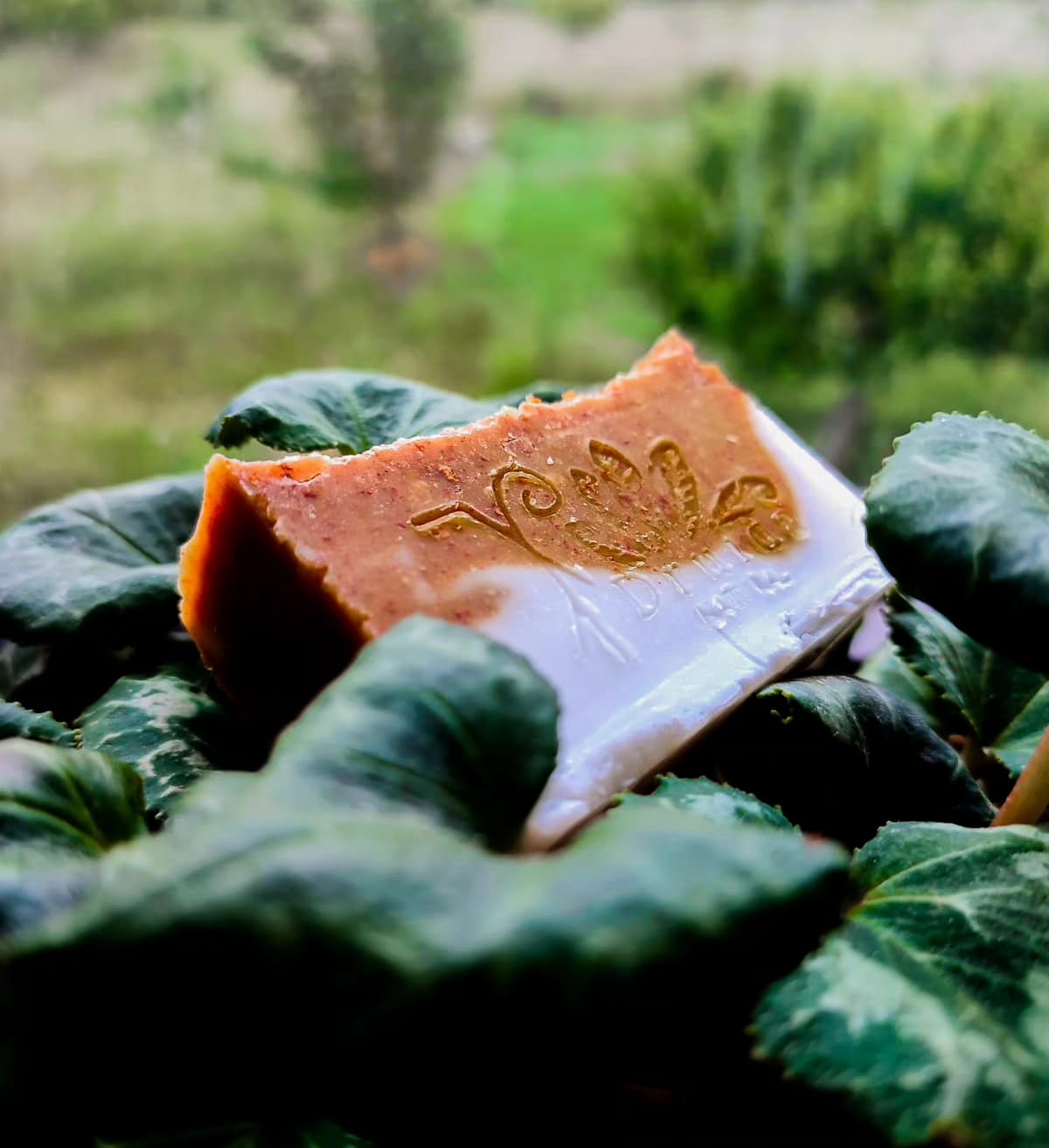 Orange & Turmeric Soap - Image 3